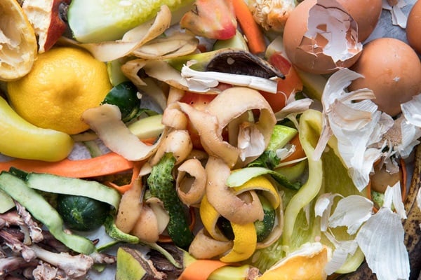 Join the Global Youth Hackathon on Food Waste: Open call for evaluators and mentors